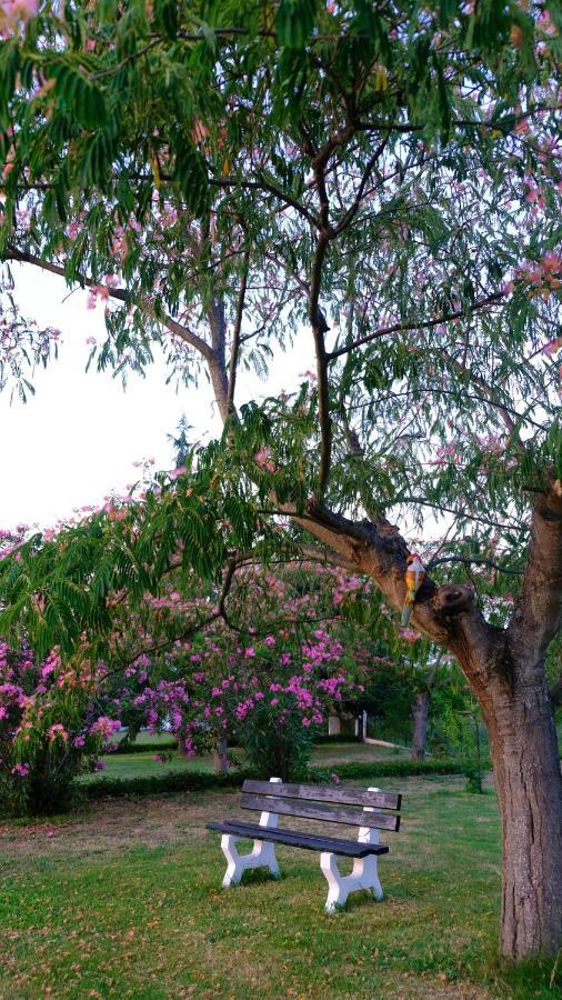 Casa Alegria Villa โอลิมเปียดา ภายนอก รูปภาพ